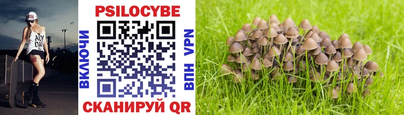 Псилоцибиновые грибы Cubensis  Яхрома 